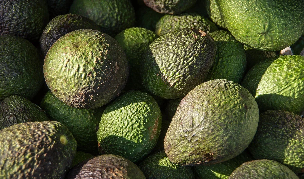 Beneficios del aguacate para el cabello: Nutrición y vitalidad para tu melena