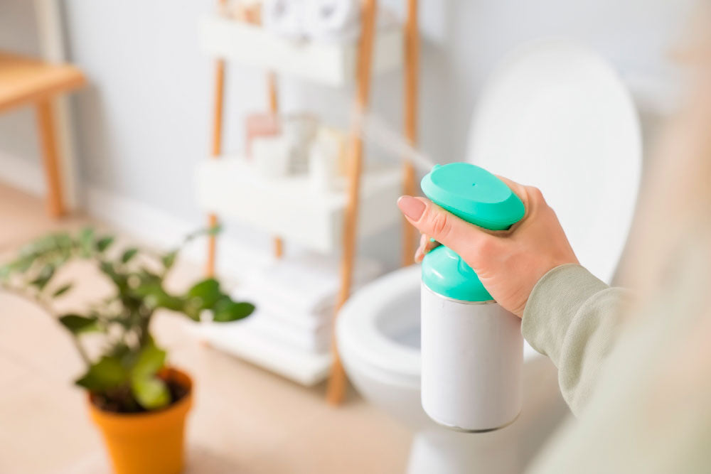 Cómo elegir el mejor ambientador para tu hogar: una guía para principiantes