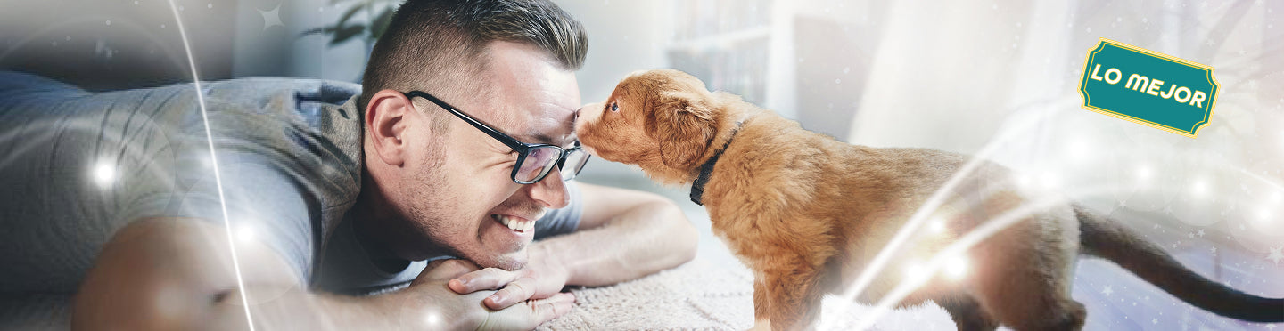 Perfumes para Mascotas