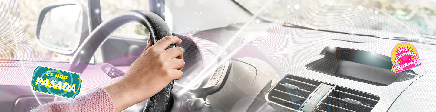 Ambientadores Armarios y Coche